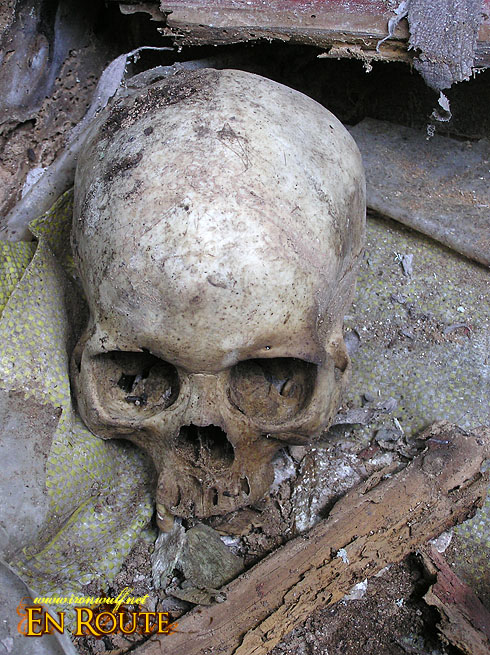 A skull at one of the Burial Caves