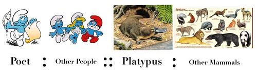 platypus poet