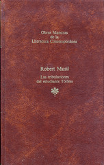 Robert Musil, Las tribulaciones del estudiante Törless