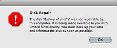 Disk Repair Error