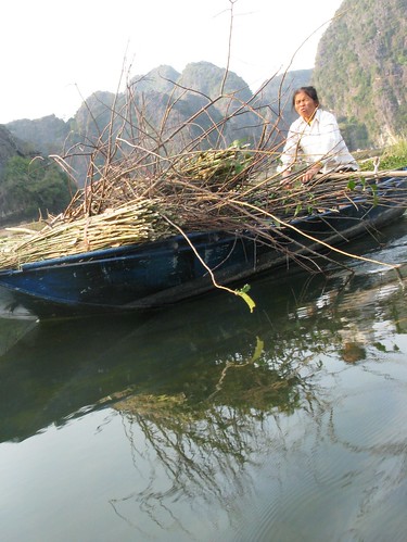 Hauling sticks by boat, Tam Coc, Vietnam