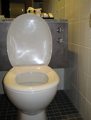 two-flusher