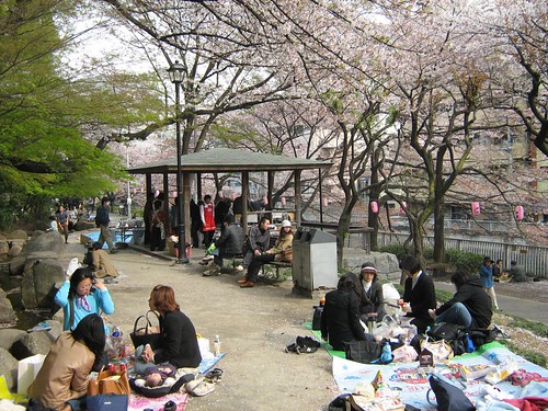People having picnic at Edogawa park