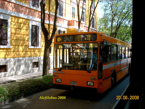 autobus MACCHI n° 473 - linea 3