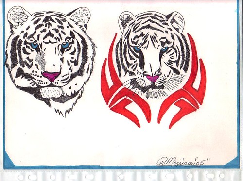white tiger tattoo. white tiger tattoos