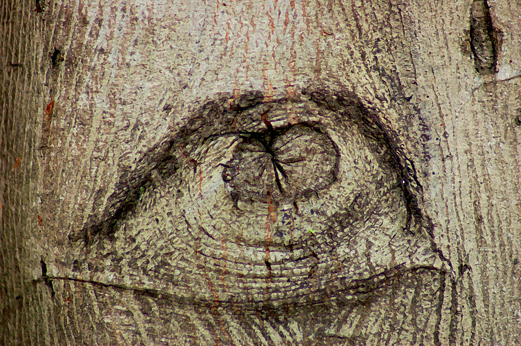 Ojo de árbol