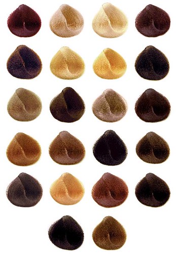 hair color swatch. You may find hair color