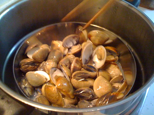 Some clams have opened up