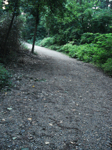 up the path towards Hermit Lane