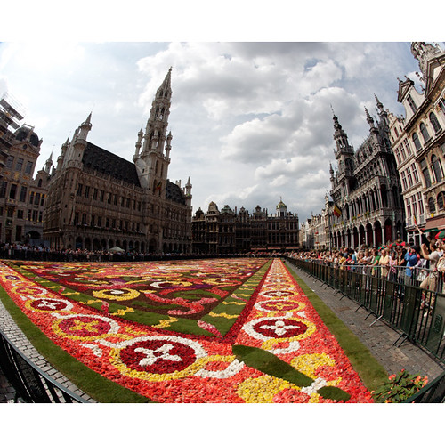 Flower carpet, Grand Place, Brussels