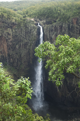 Download this Wallaman Falls The... picture