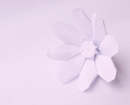 Origami Anemone Flower