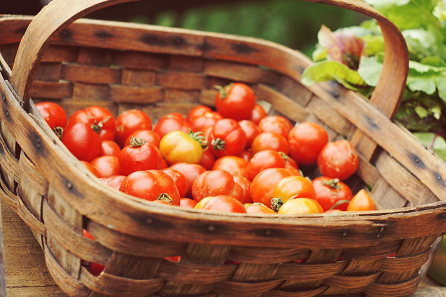 Cherry Tomatoes @ the Farmer's Market