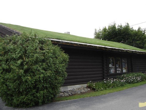 green roof (windjue)