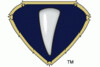 pittsburgh panthers logo