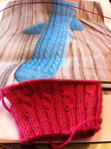 iphone_pic by bean counting knitter