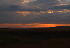 Maasai Mara Sunrise, Kenya