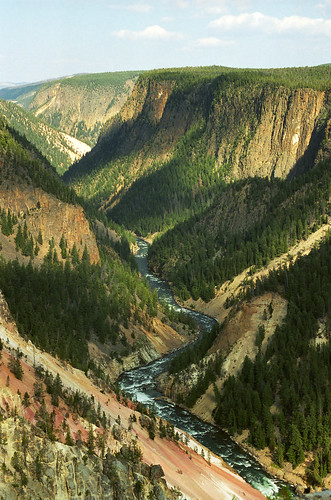 Looking Down the Grand Canyon of the Yellowstone