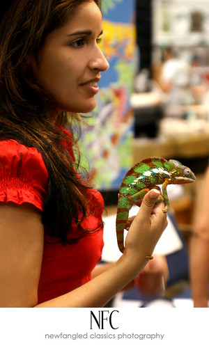 reptile expo 3