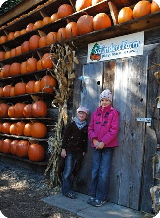 Wall o' pumpkins at Saunders Farm