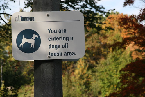 Dogs Off Leash Area by you.
