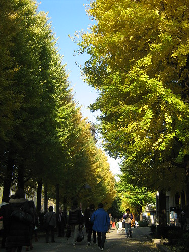 Walking past the trees of Ueno Park