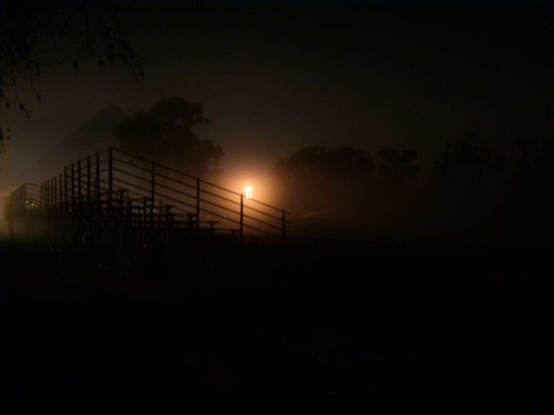 csulb in mist at night