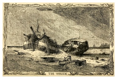 09- El pecio del barco naufragado