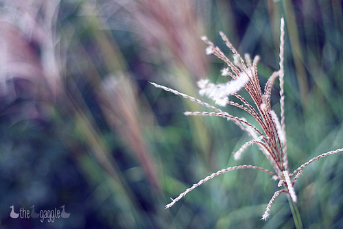 HBW - That one?