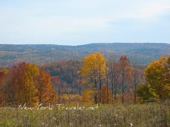 Autumn Adirondacks 1