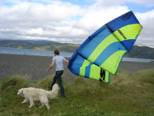 Matt Chernishov with his kite and dog in Wellington, New Zealand