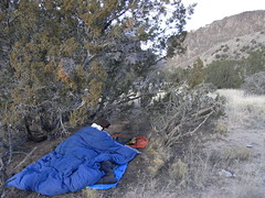 Diablo Canyon Nest