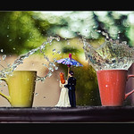 monsoon, wedding, cocktail and bokeh (explored)