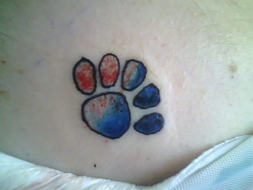 paw tattoo. This pic was taken the day I got this done (last January I 