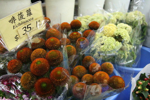 Flower market, Mong Kok