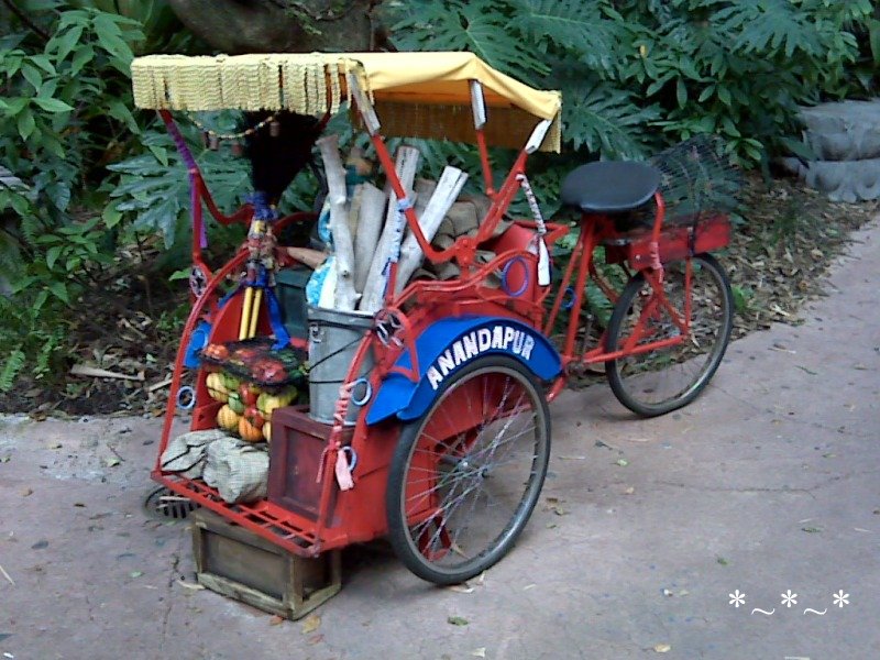IMG01441-Maharajah-Jungle-Trek-Red-Rickshaw-Cycle