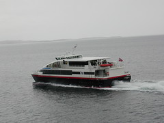 Many small ferries ply the fjords