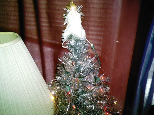 Christmas Tree 2008 002