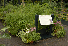 Louise Loeb Vegetable Garden