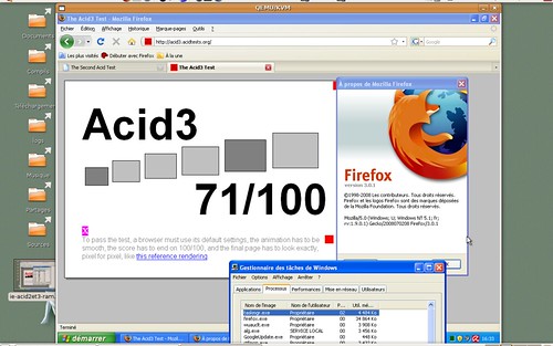 occupation mémoire de Firefox 3.0.1 avec les tests acid2 et 3