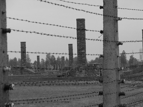 Auschwitz Camp Wires