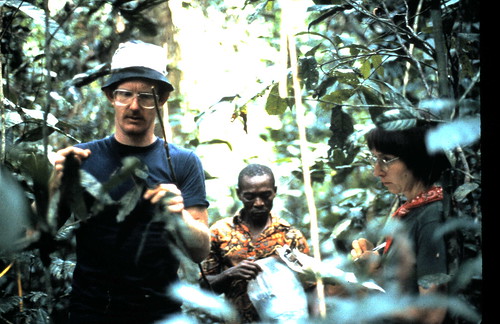 recording okapi feeding sign in 1987