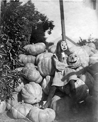 Queen Of The Pumpkins (by Dio Bach)