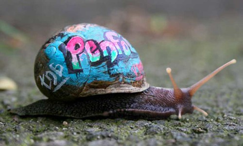 snail graffiti