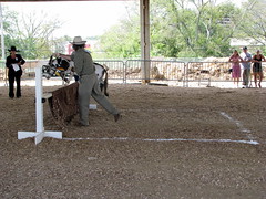 100 Things to see at the fair outtake: Donkey Hurdles