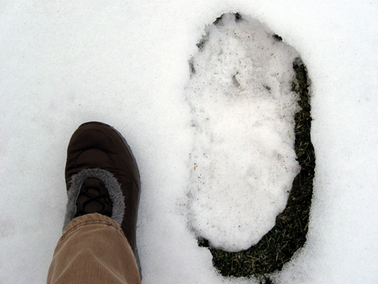 Evidence of Bigfoot? (Click to enlarge)