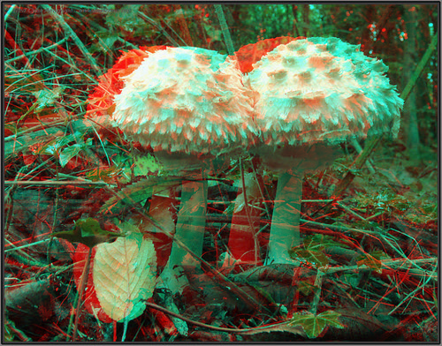 Anaglyph needing red cyan glasses to see in 3D