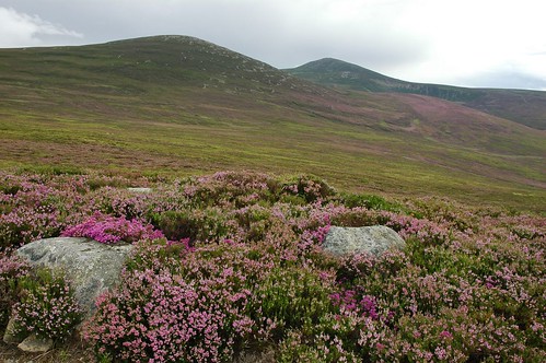 Gathering Cairn and Mount Keen