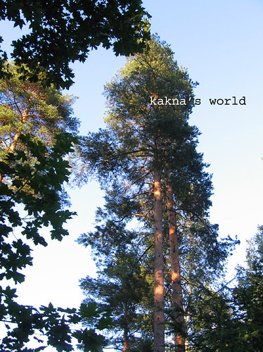 helsinki_garden trees ©  kakna's world