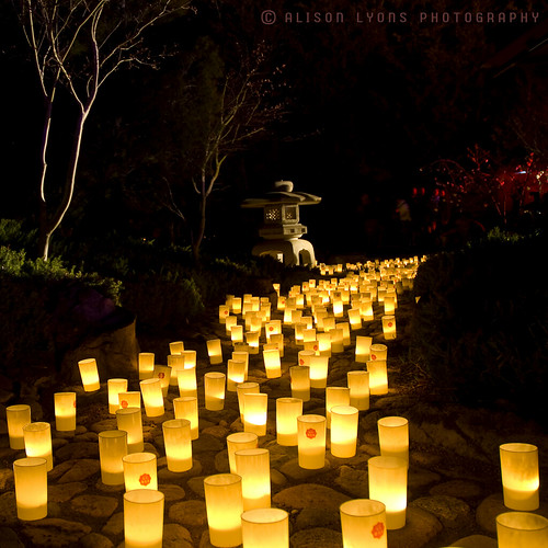 Nara Candle Festival